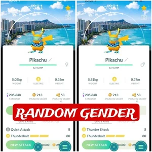 Shiny Pikachu World Championships 2024 Fondo Honolulu | Tr-de - Imagen 1 de 1