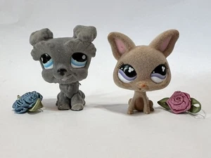 Littlest Pet Shop #1006 Schnautzer & #461 Chihuahua Dog - Foto 1 di 7