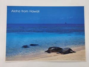 Hawaii postcard Green Sea Turtles and Monk Seals on the beach unposted - Picture 1 of 4