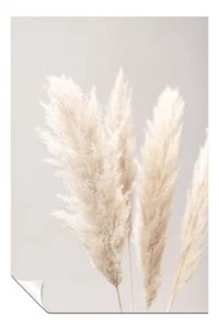 Beige Pampass Grass Artistic Poster Wall Art Home Decor - Picture 1 of 4