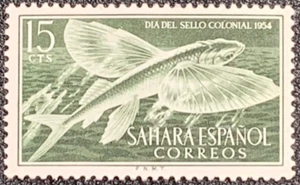 Spanish Sahara Postage Stamp 1954 Atlantic Flying Fish Design Original Gum MNH - Picture 1 of 3