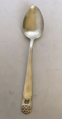 Cuchara para servir Eternally Yours 1847 Rogers Bros placa de plata de colección 8 1/2" Foto 1 de 4