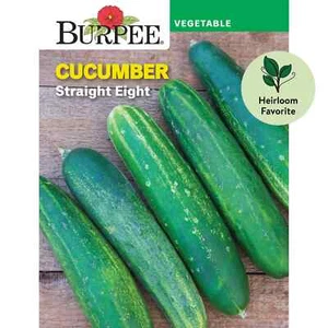 Burpee Cucumber Straight Eight Vegetable Seeds Seed Packet Heirloom Full Sun - Picture 1 of 10