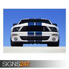 2007 FORD SHELBY GT500 (AB992) CAR POSTER - Photo Poster Print Art * All Sizes
