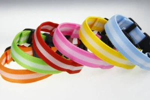 Neu Haustier Hund Leine Halsband LED Leuchten im Dunkeln 3 Blitzmodi 6 Farben - Bild 1 von 9
