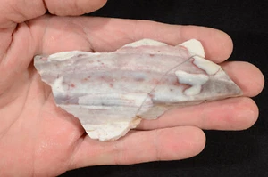 JASPER Lapidary Slab 4" x 2" Cabbing Slice Rough Rock Raw Mineral Specimen - Picture 1 of 2