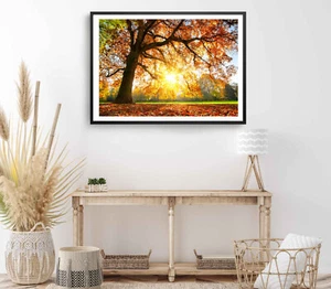 Autumn Tree Print, Sunshine Wall Art, Autumn Leaves Framed Tree Wall Art,Natural - Picture 1 of 5