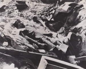 1943 Press Photo WW2 Dead Japanese Troops after Battle with US Marines at Tarawa - Picture 1 of 2