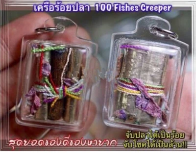 Amuleto Tailandés 100 Peces Creeper Ajan O Charm Riqueza Protección Empresarial Magia Negra Foto 1 de 4