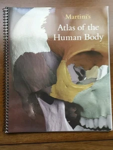 Martini's Atlas of the Human Body by Martini, Ober, et al  (2006, paperback) - Picture 1 of 1