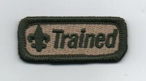Trained on Tan Strip, "Since 1910" Slogan Backing, Green Brd., Mint! - Picture 1 of 1