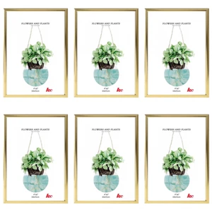 6x Plain Gold 4"x6" Document Certificate Photo Picture Glass Frame Bulk Lots - Picture 1 of 1