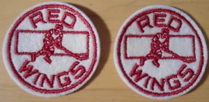 DETROIT RED WINGS 2 PARCHES VINTAGE NUEVO ESTADO 2" PULGADAS DIÁMETRO - Imagen 1 de 1