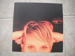 Shawn Colvin Get Out of This House Promo LP Photo Flat 12x12 Poster Double Sided - Picture 1 of 2