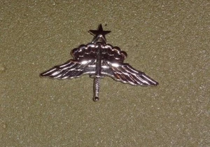 U.S.ARMY,USAF,MFF,HALO BADGE,SENIOR PROTOTYPE,NEVER AUTHORIZED BUT MADE ANYSO - Bild 1 von 1