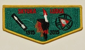 BSA OA LODGE 270 SKYUKA S-59, 100th OA ANNIVERSARY,PALMETTO CNCL - Picture 1 of 2