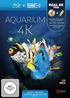 Aquarium 4K (Ultra-HD Stick in Real 4K + Blu-ray) - Limited Edi (4K UHD Blu-ray)
