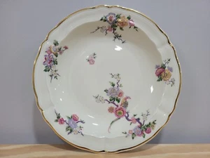 Bernardaud Bengali Limoges France Ciotola per zuppa cerchio 9 - Foto 1 di 10