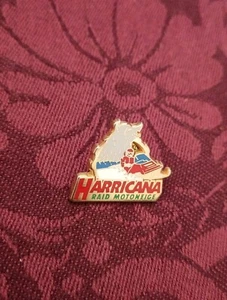 Pin's Pins Pin Enamel 18 ARTHUS BERTRAND Sport RAID MOTONEIGE "HARRICANA" - Imagen 1 de 3