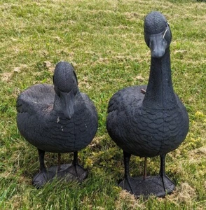 Pair of Rubber Sport-Plast Shell Geese Goose Decoys Made in Italy Yard Sporting - Picture 1 of 6