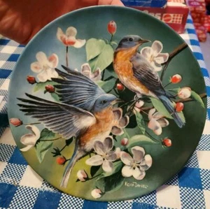 1986 The Bluebird Encyclopedia Britannia Birds Your Garden Sammelteller q47 - Bild 1 von 2