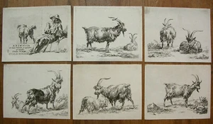 BERCHEM `DIE FOLGE DER ZIEGEN; SET OF THE GOATS´ 6 RADIERUNGEN, H. 35-40, ~1650 - Bild 1 von 12