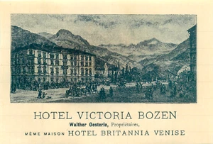 Hote Victoria ~BOZEN BOLZANO / ITALIA~ Etiqueta de equipaje temprano escaso, c. 1910 - Imagen 1 de 2