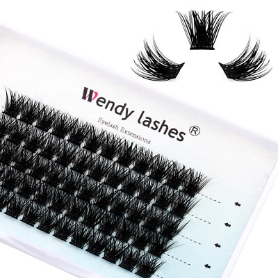 WENDY LASHES Individual Lashes D Curl Cluster Lashes 0.07mm 8-16mm DIY Lash Extensions