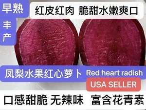 300+ Red heart radish seeds harvested in 2024 . 300多粒2024年产凤梨红心水果萝卜新种子 - Picture 1 of 4