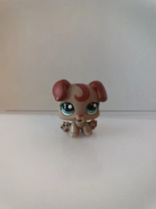 Littlest Pet Shop~#1197~Boxer~Puppy Dog~Brown Swirl~Green Dot Eyes - Picture 1 of 3