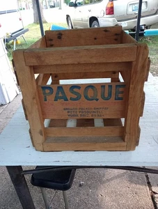 Ancienne caisse en bois - Pasque - Expéditeur emballeur cultivateur - ZUMA ARIZONA 17x14x14" - Photo 1/18