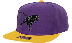 Prairie View A&M Panthers Purple Mitchell & Ness Logo Bill Snapback Cap/Hat - Picture 1 of 2