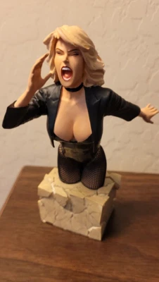 DC DIRECT BLACK CANARY WOMEN OF THE DC UNIVERSE BUST [Adam Hughes] DC COMICS Foto 1 de 4