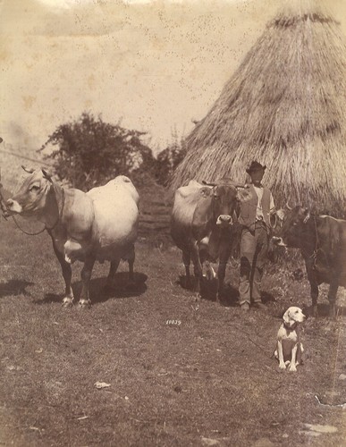 Foto 1 di 1