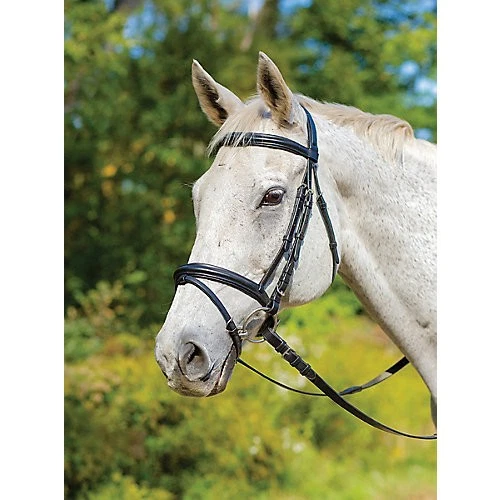 Shires Avignon Louisville Bridle - Image 1 of 1