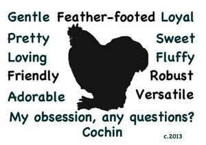 Cochin Chicken My Obsession, Any Questions? T-shirt Choices of size color - Picture 1 of 10