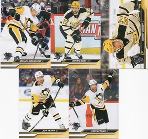 Pittsburgh Penguins-100 card Lot-NO DUPLICATES-Great Gift-Collection Starter! - Picture 1 of 1