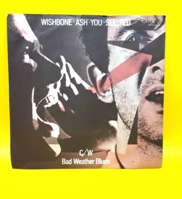 Wishbone Ash - You See Red 1978 Spanish wide centre 7" Vinyl Single Excellent - Изображение 1 из 4