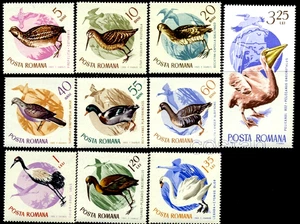 1965 Migratory Birds,Ibis,Woodcock,Swan,Pelican,Turtle dove,Romania,Mi.2430, MNH - Picture 1 of 1