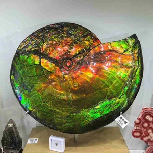 25.3LB Natural Rainbow Ammolite Fossil Quartz Crystals Mineral Canada Rough Gem - Picture 1 of 15
