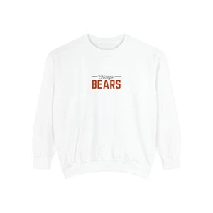 CHICAGO BEARS VINTAGE HOODIE !! HOCHWERTIG *** NAGELNEU  - Bild 1 von 45