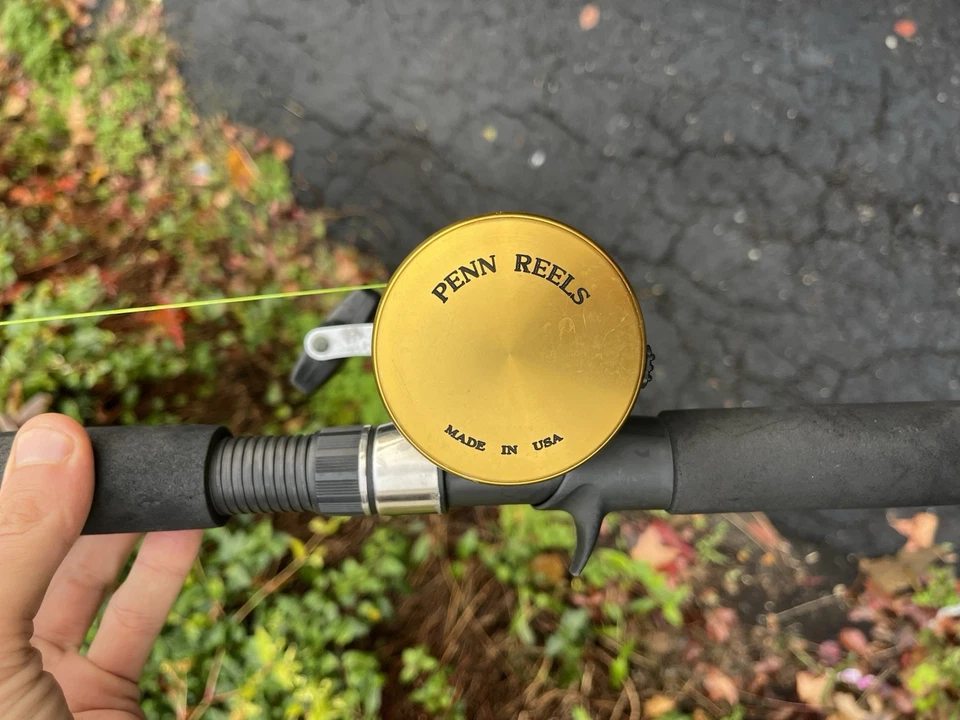 CARRETE PENN INTERNATIONAL 975* * CARRETE DE FUNDICIÓN DE CEBO. HECHO EN USA Foto 1 de 3