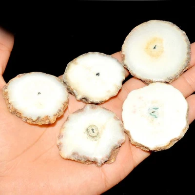 5 Pcs 594 Cts Natural Solar Quartz Druzy Loose Gemstone Lot 48x48 42x41mm #3538 - Image 1 of 4