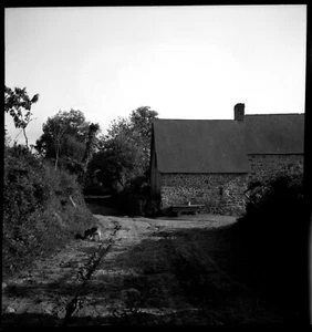Paysage rural ferme chemin campagne chien - ancien négatif photo an. 1950 - Picture 1 of 1