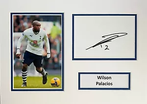 Wilson Palacios handsignierte A4 montierte Fotoanzeige Tottenham Autogramm - Bild 1 von 1