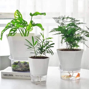 Automatic Pot Flower Water-absorbing Plastic Flowerpot Planter Succulent - Picture 1 of 9