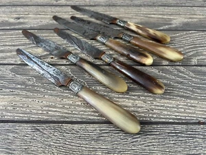 Berthon Brest coltello da dessert manico osseo con set di 6 collari argento - Foto 1 di 4