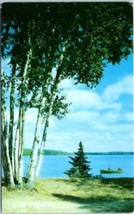 Abedules en el lago barco de pesca Vacationland - Postal - Imagen 1 de 2