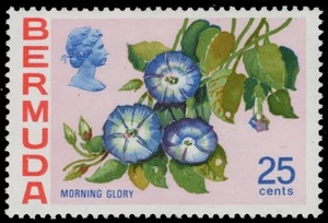 BERMUDA 324 (SG260a) - Heimische Blumen "Morning Glory" (pc26713) - Bild 1 von 1