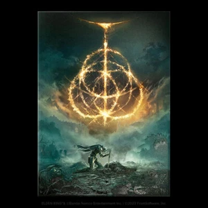 🔥DISPLATE LIMITED EDITION ?/1500 | ELDEN RING | NEU & OVP - Bild 1 von 5